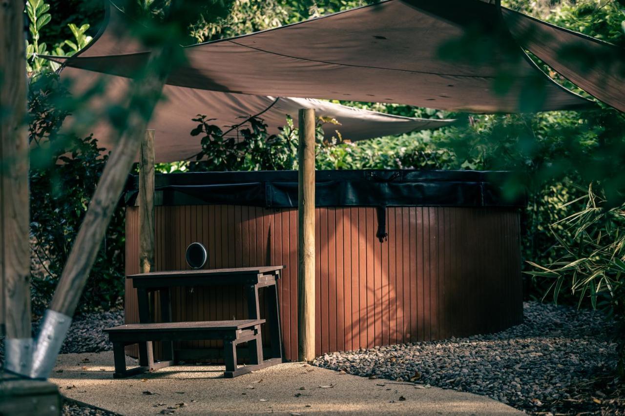 Lodges Des Grands Chenes Andelarrot Exterior foto